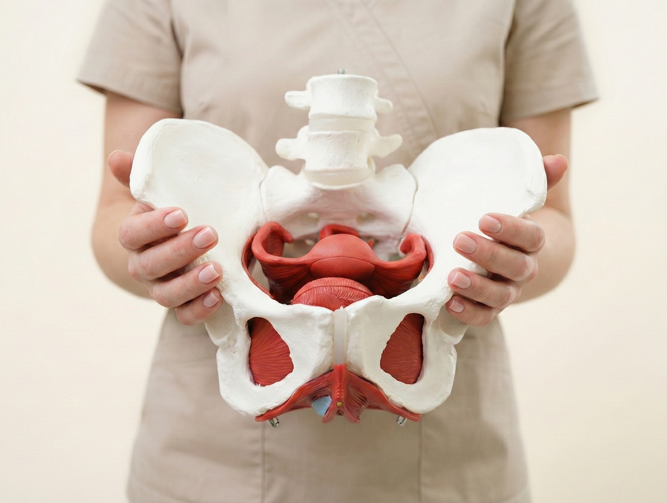 Tratamiento de fisioterapia musculo esqueletica