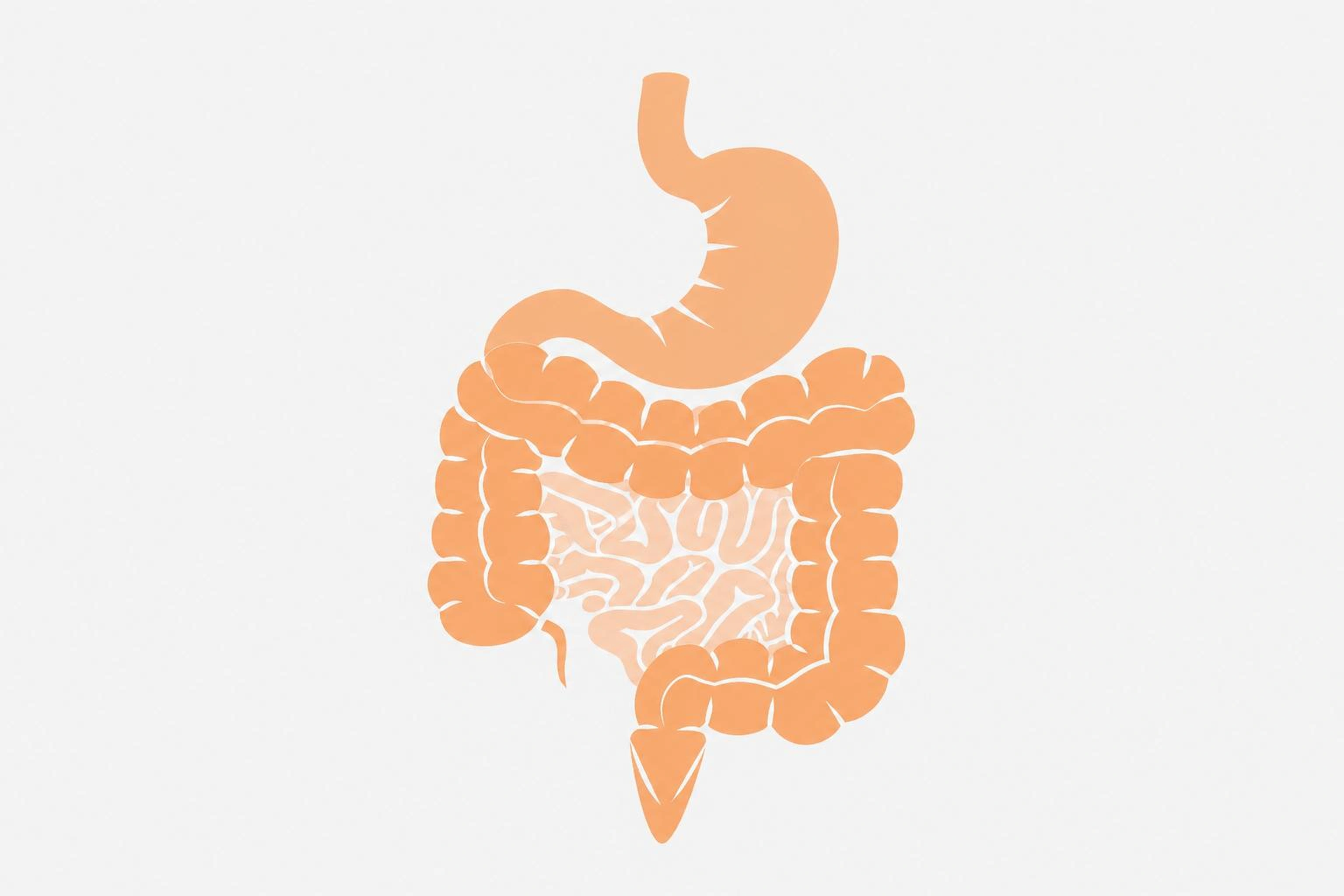 Tratamiento de fisioterapia musculo esqueletica